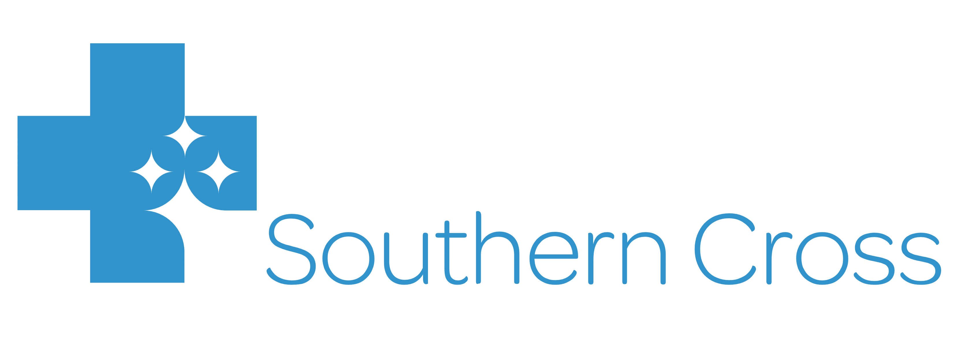 Southern Cross Logo